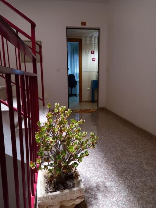 Apartamento Tranquilo Cerca De Zonas Verdes Cieza Eksteriør billede